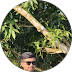 Arani Majumder 
